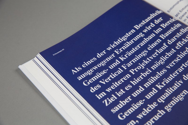 Layout und Schriftgestaltung für eva Dokumentation